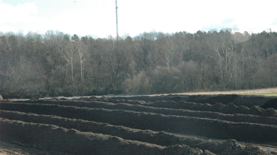 Organic Compost Photo